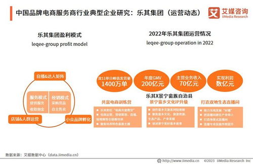2023年中國品牌電商服務商行業(yè)研究報告 信息技術(shù)咨詢服務的機遇與挑戰(zhàn)